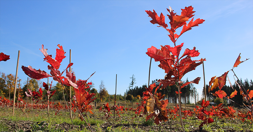 Ekologisk hållbarhet